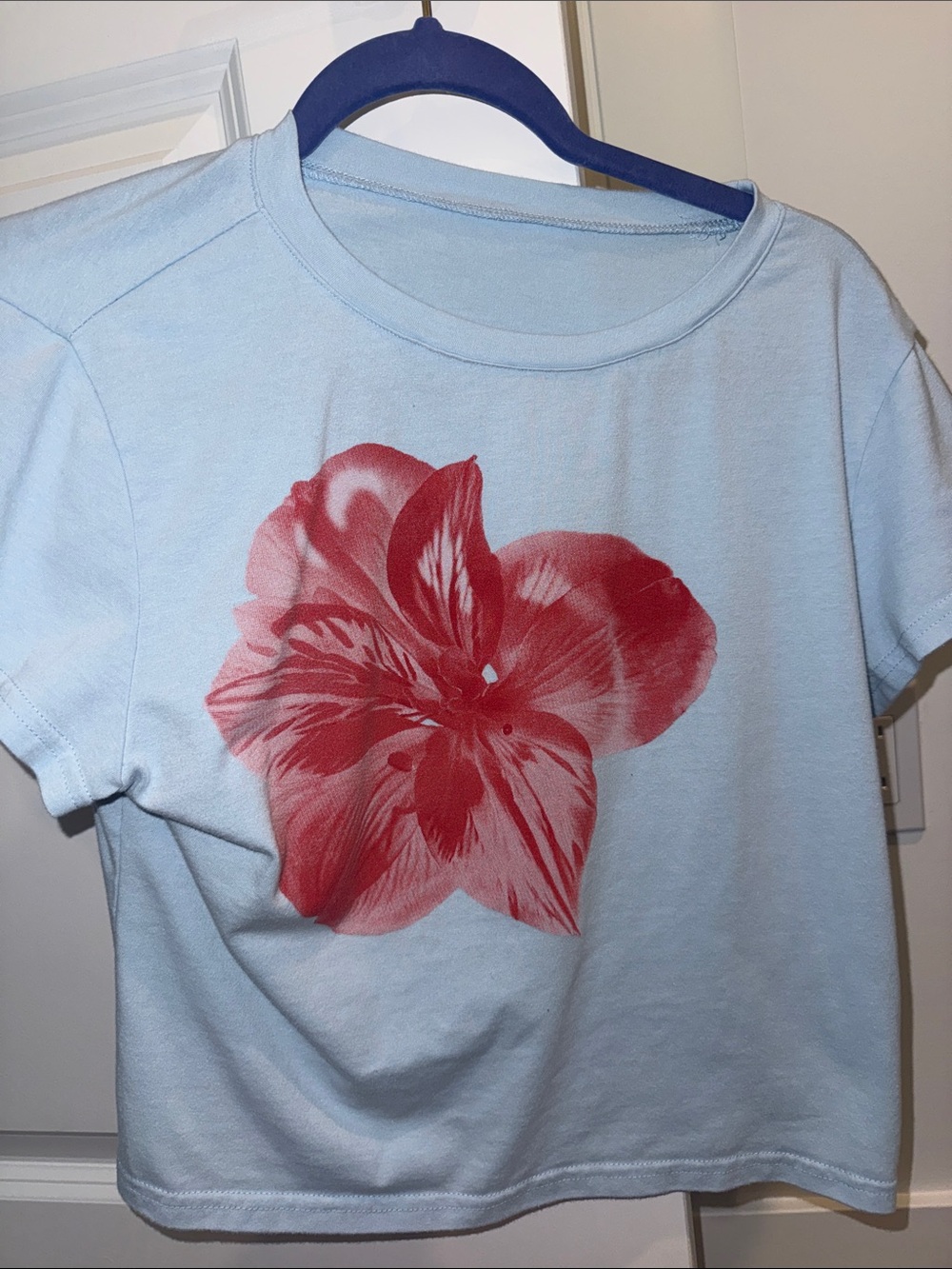 Baby blue flower cropped tee